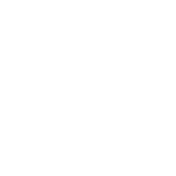 Fast Service